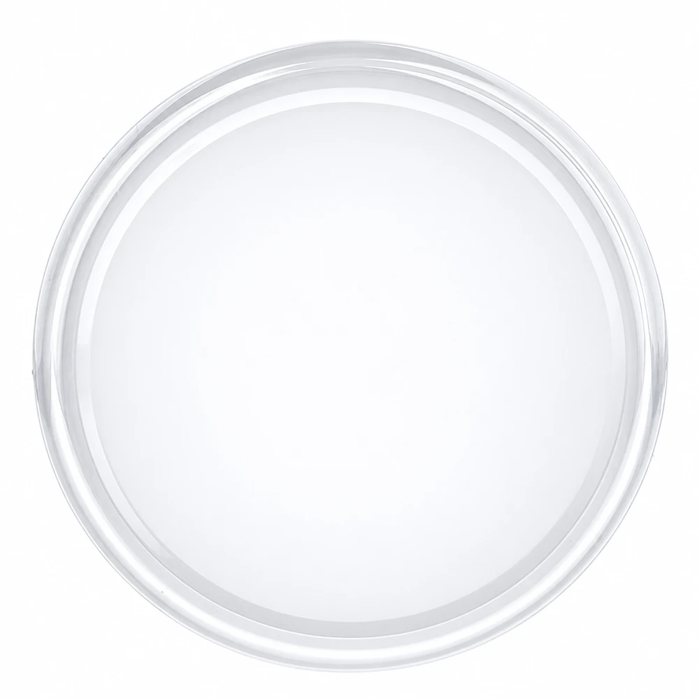 BasicSeal glazen deksel TO63 63 mm wit voor het veilig afsluiten van inmaakpotten