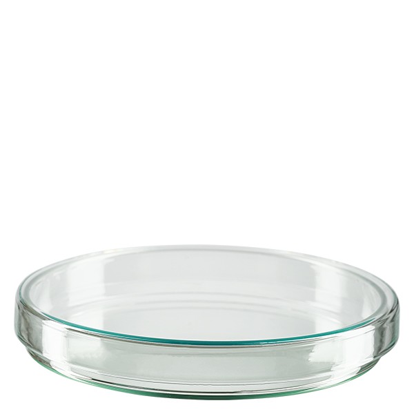 Petrischaal 120x15 mm van glas Petrischaal 120x15 mm van glas