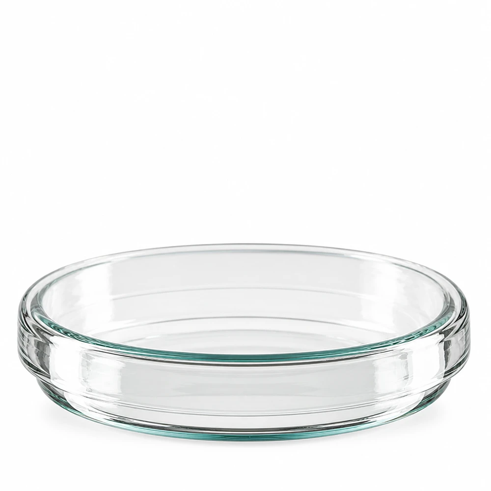 Petrischaal 80x15 mm van glas Lege glazen petrischaal 80 x 15 mm voor microbiologisch onderzoek – laboratoriumuitrusting