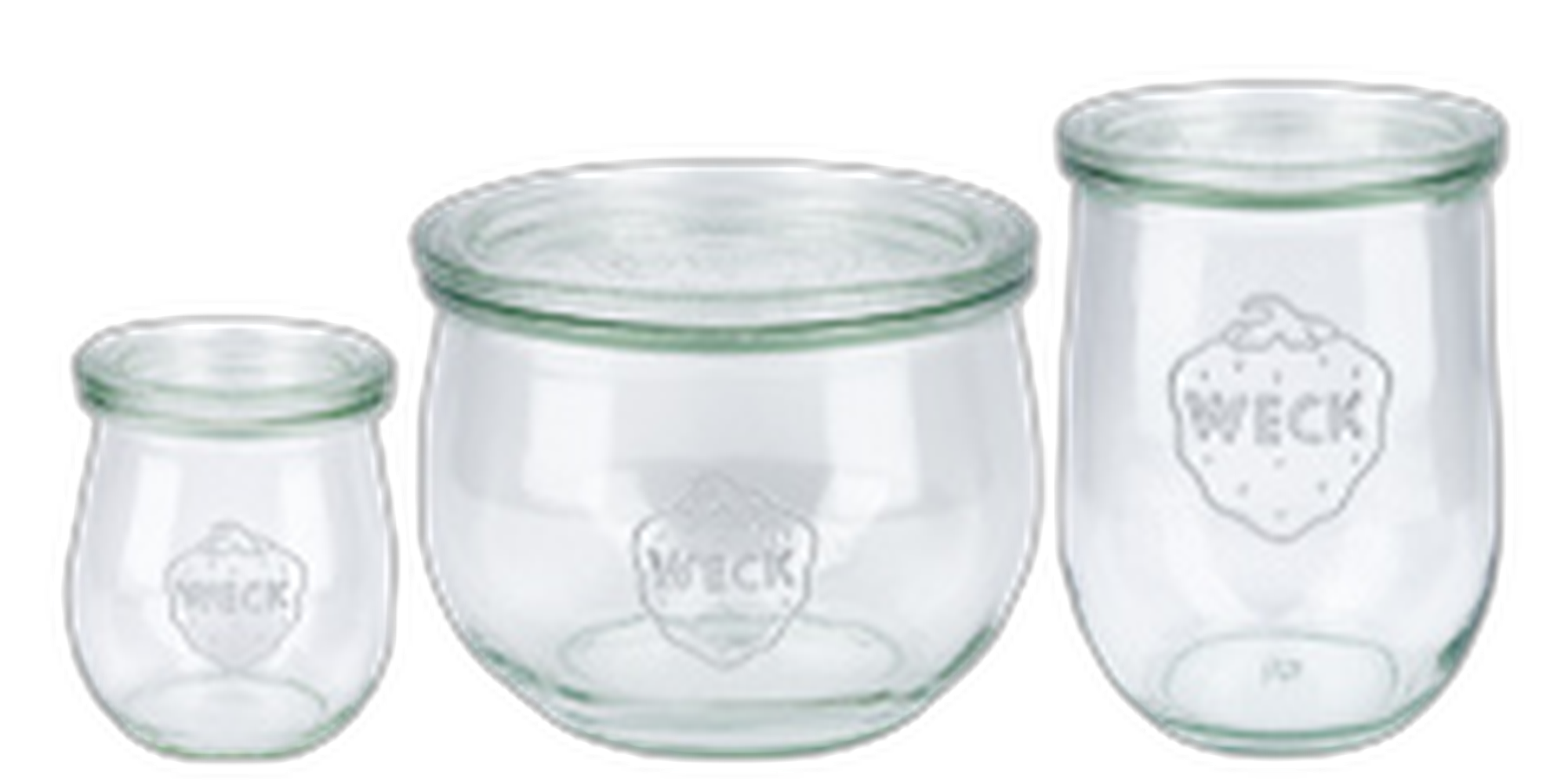 WECK tulp potten