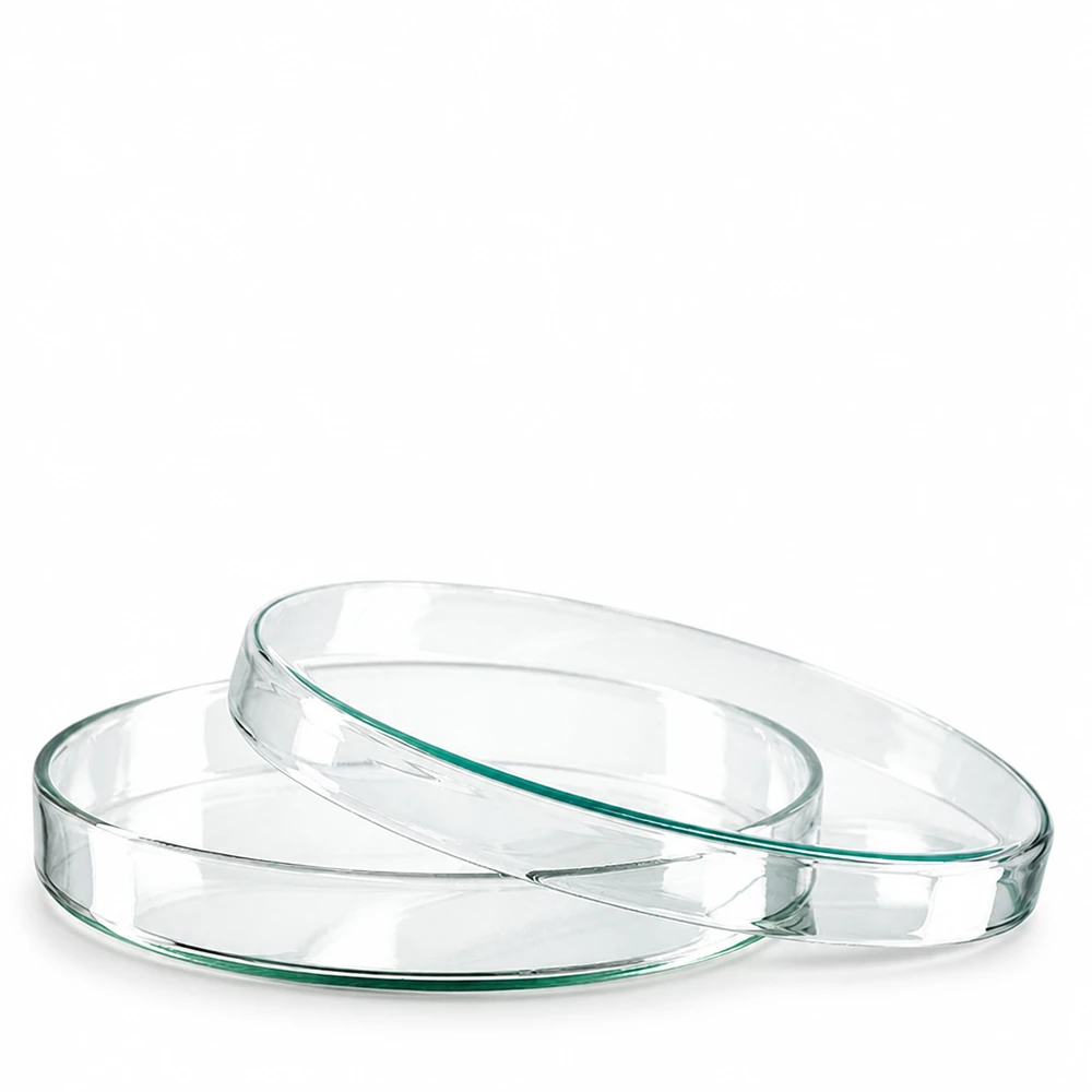Ronde, platte glazen schaal van 120 mm voor laboratorium- en wetenschappelijk gebruik, met groene glazen rand