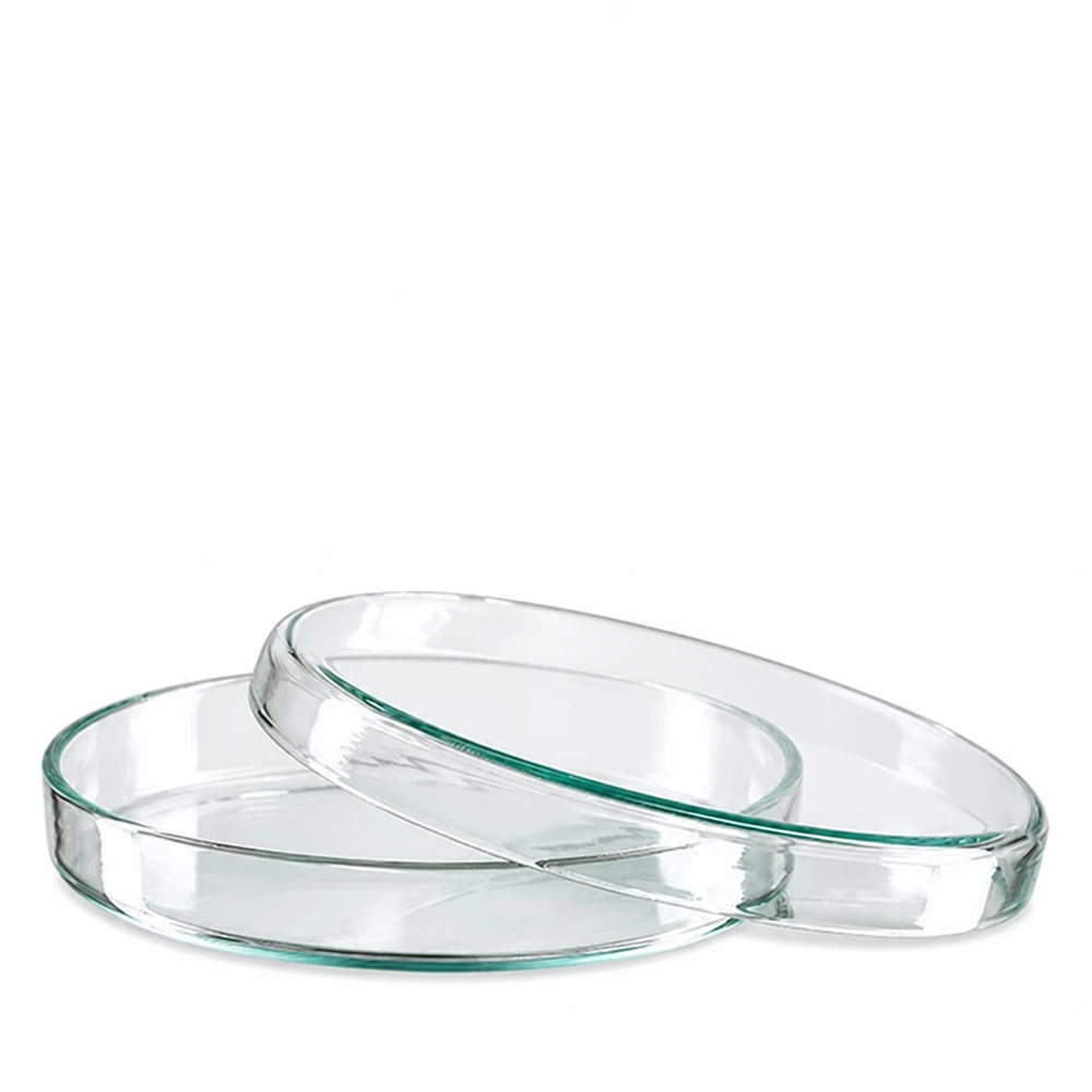 Petrischaal 90x15 mm van glas Glazen laboratoriumpetrischalen van 90 x 15 mm, ideaal voor celculturen, het kweken van bacteriën en experimenten