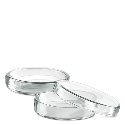 Petrischalen (glas)