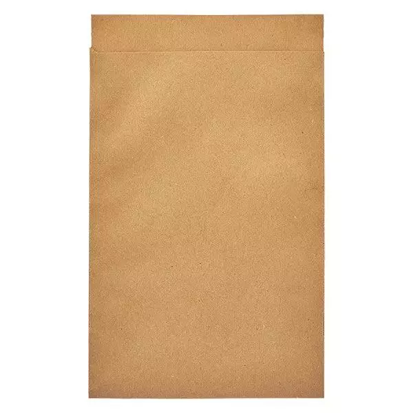 100 papieren zakken 63 x 93 + 14 mm klep 100 papieren zakken 63 x 93 + 14 mm klep