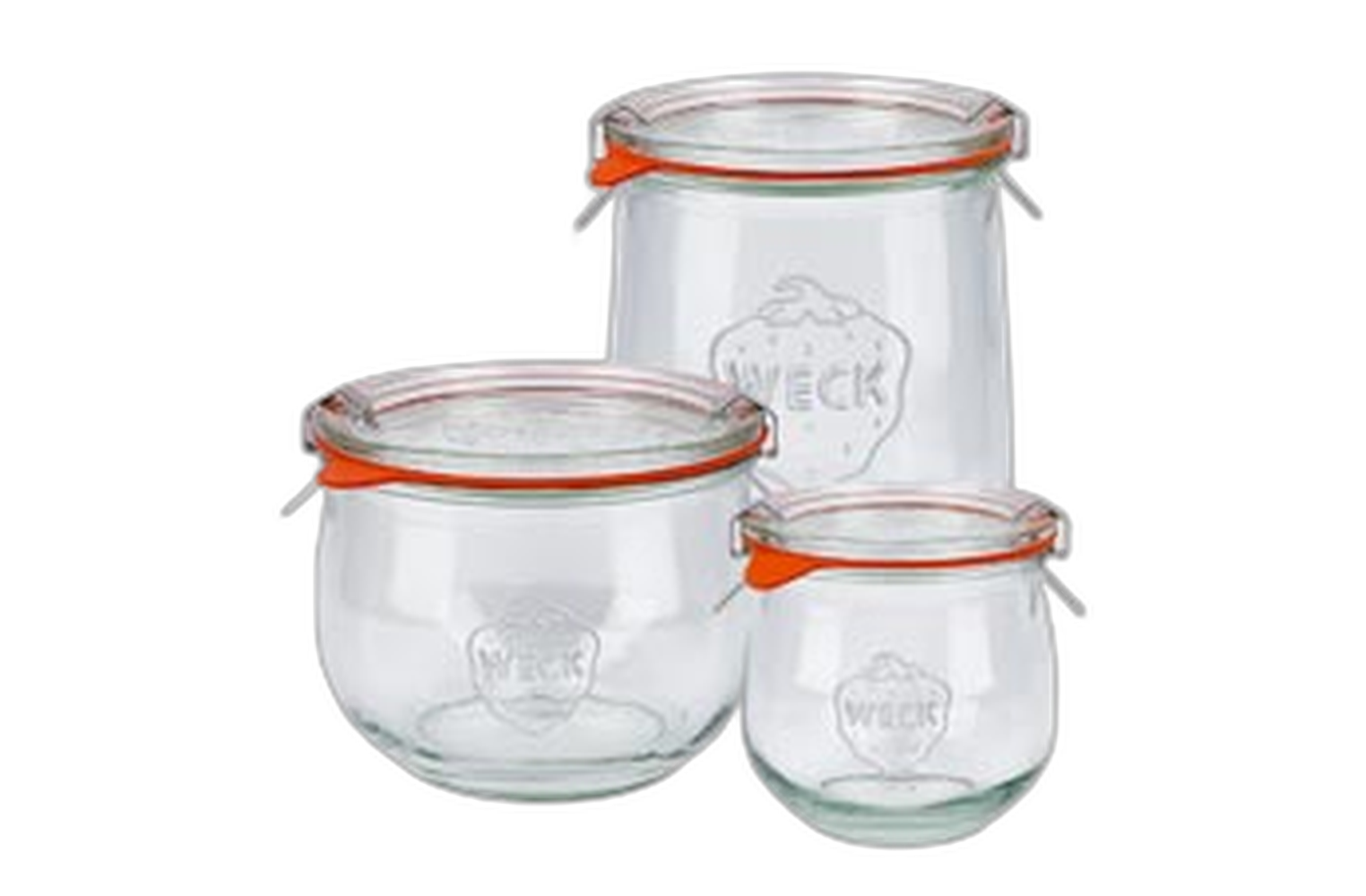 WECK tulp potten