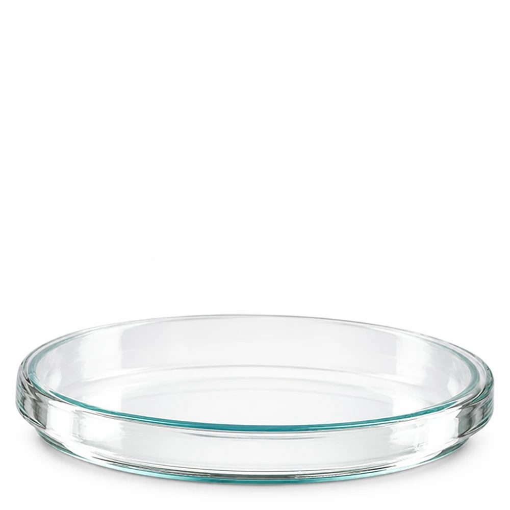 Petrischaal 100x15 mm van glas Petrischaal van borosilicaatglas, 100 x 15 mm, met zichtbare glazen bodem en heldere rand