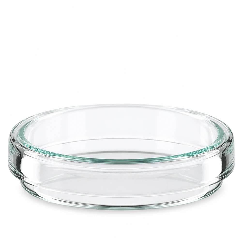 Doorzichtige glazen petrischalen 60x15 mm voor laboratorium- en wetenschappelijk gebruik – vooraanzicht