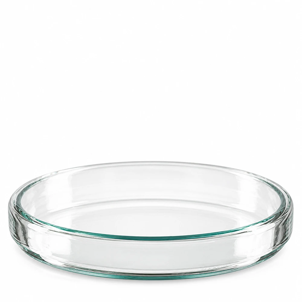 Petrischaal 90x15 mm van glas Petrischaal van glas 90 x 15 mm met zichtbare groenachtige glazen rand, vooraanzicht, laboratoriumuitrusting