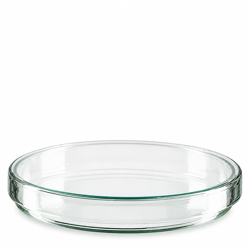 Petrischaal 120x15 mm van glas Petrischaal van glas, 120 x 20 mm, voor microbiologische laboratoriumtoepassingen, leeg en schoon