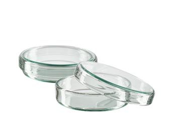Petrischalen (glas)